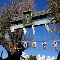 湯島天満宮（湯島天神）の写真・動画_image_296581