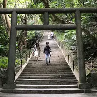 シルミチューの写真・動画_image_296806