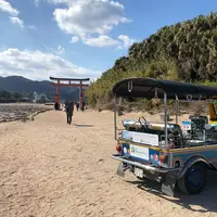青島神社の写真・動画_image_296837