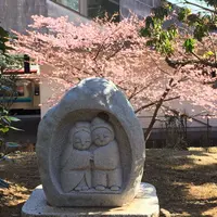 伊豆高原駅 伊豆急行の写真・動画_image_297850