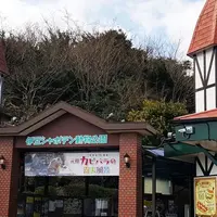 伊豆シャボテン動物公園の写真・動画_image_297851
