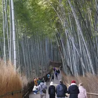 嵐山の写真・動画_image_298011