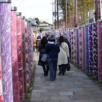 キモノフォレストの写真・動画_image_298019