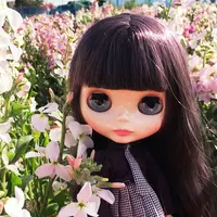 白間津花畑の写真・動画_image_298160