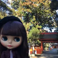 息栖神社の写真・動画_image_298167