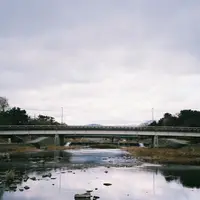 鴨川デルタの写真・動画_image_299311