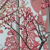 鈴廣 かまぼこの里の写真・動画_image_299465