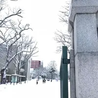 北海道大学の写真・動画_image_299496