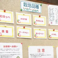 大竹いちご園の写真・動画_image_300701