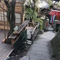 猫の細道の写真・動画_image_300838