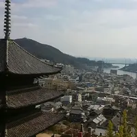 天寧寺の写真・動画_image_300839