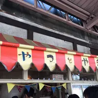 おやつとやまねこの写真・動画_image_300860
