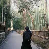 嵐山の写真・動画_image_300886