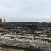 青島神社の写真・動画_image_301325