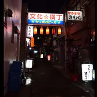 文化横丁の写真・動画_image_301757