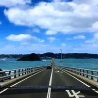 角島大橋 (つのしまおおはし)の写真・動画_image_302736