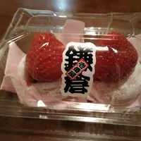 鎌倉の写真・動画_image_302999