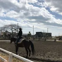 一の宮乗馬センターの写真・動画_image_303209