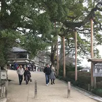 兼六園の写真・動画_image_303349