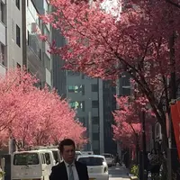 コレド室町1の写真・動画_image_304230