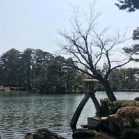 兼六園の写真・動画_image_304612