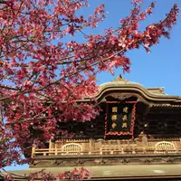建長寺庭園の写真・動画_image_305088