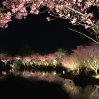 なばなの里の写真・動画_image_305143