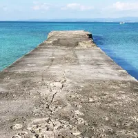 西桟橋の写真・動画_image_305625