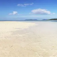 コンドイビーチの写真・動画_image_305626