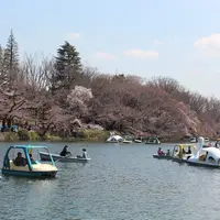 井の頭自然文化園の写真・動画_image_305734