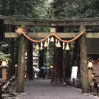 椿大神社の写真・動画_image_305925