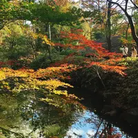 六義園の写真・動画_image_306043