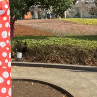 国立新美術館の写真・動画_image_306118