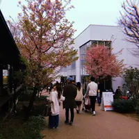 代官山 蔦屋書店(TSUTAYA)の写真・動画_image_306445