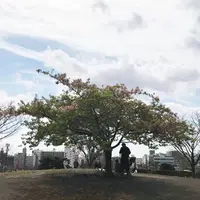 西郷山公園の写真・動画_image_306447