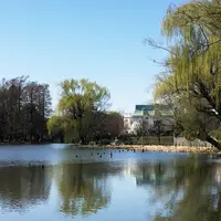 石神井公園の写真・動画_image_306479