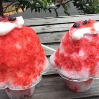 氷屋ぴぃすの写真・動画_image_306487
