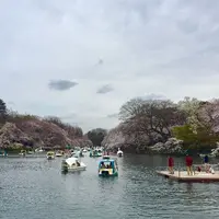 井の頭自然文化園の写真・動画_image_306494
