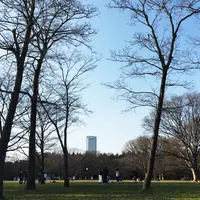 代々木公園の写真・動画_image_306523