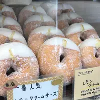 ミサキドーナツ逗子の写真・動画_image_306745