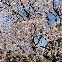 六義園の写真・動画_image_306868