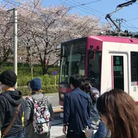 飛鳥山公園の写真・動画_image_306952