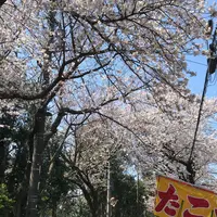 里見公園の写真・動画_image_307060