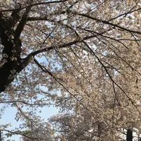 井の頭自然文化園の写真・動画_image_307904