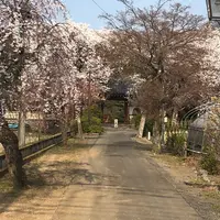 埼玉狭山市広瀬神社の写真・動画_image_307920