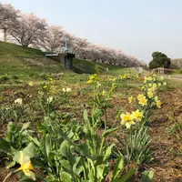 埼玉県狭山市新富士見橋の写真・動画_image_307922