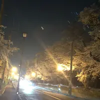 県営狭山稲荷山公園の写真・動画_image_307923