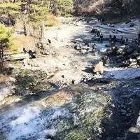 西の河原公園の写真・動画_image_308299