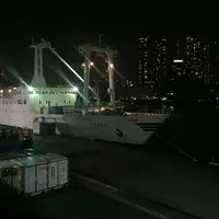 さるびあ丸の写真・動画_image_308338