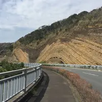 地層大切断面の写真・動画_image_308344